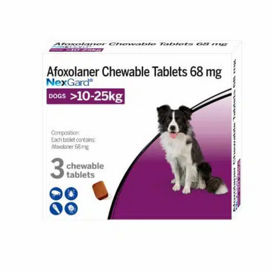 Nexgard (10-25 Kg)