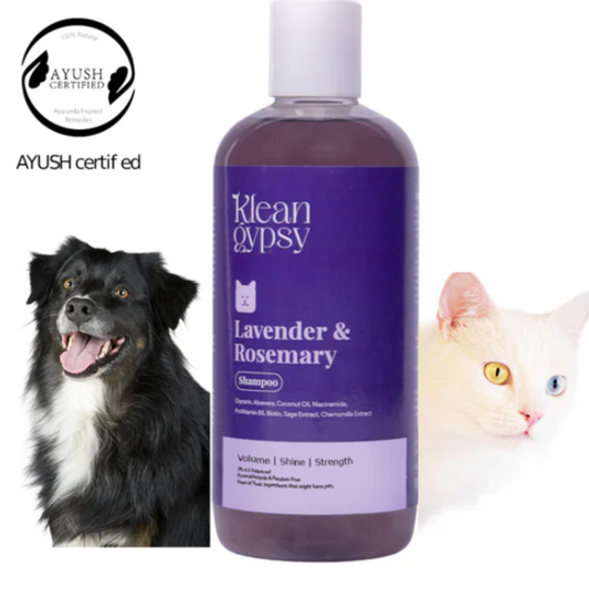 Klean Gypsy Lavender & Rosemary Shampoo - 300 ML