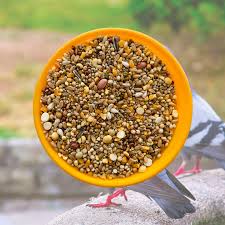 MRK Pigeon Mixed Seeds (10 Kg)