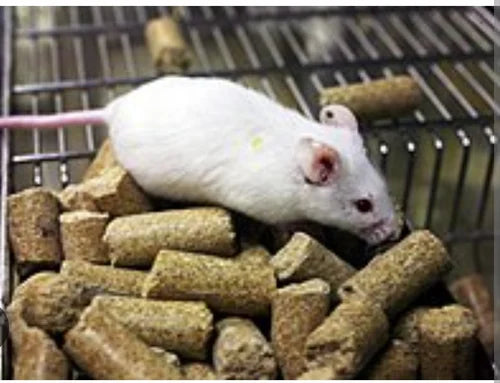 Rat & Mice Pellet - 25 Kg