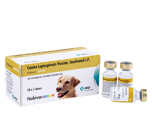 Nobivac Lepto 1 ML Vial