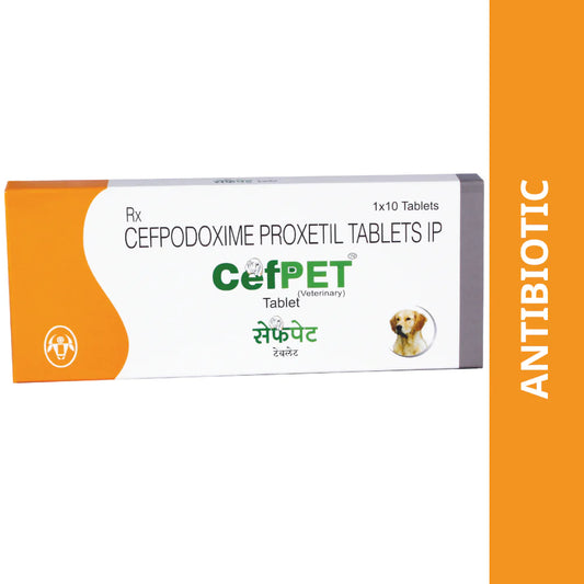 CEFPET - 1 strip