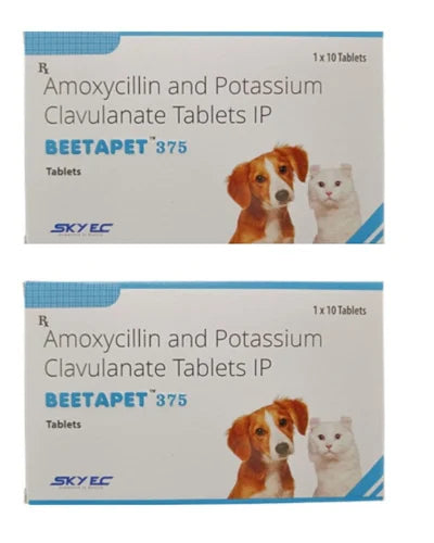 BEETAPET 375 TABS - 1 strip
